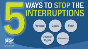Bright yellow numeral 5 beside headline ‘Ways to Stop the Interruptions,’ with five labeled circles reading Purpose, Goals, Flow, Decisions, and Stewardship on a blue background, Humanizing Work Show branding.
